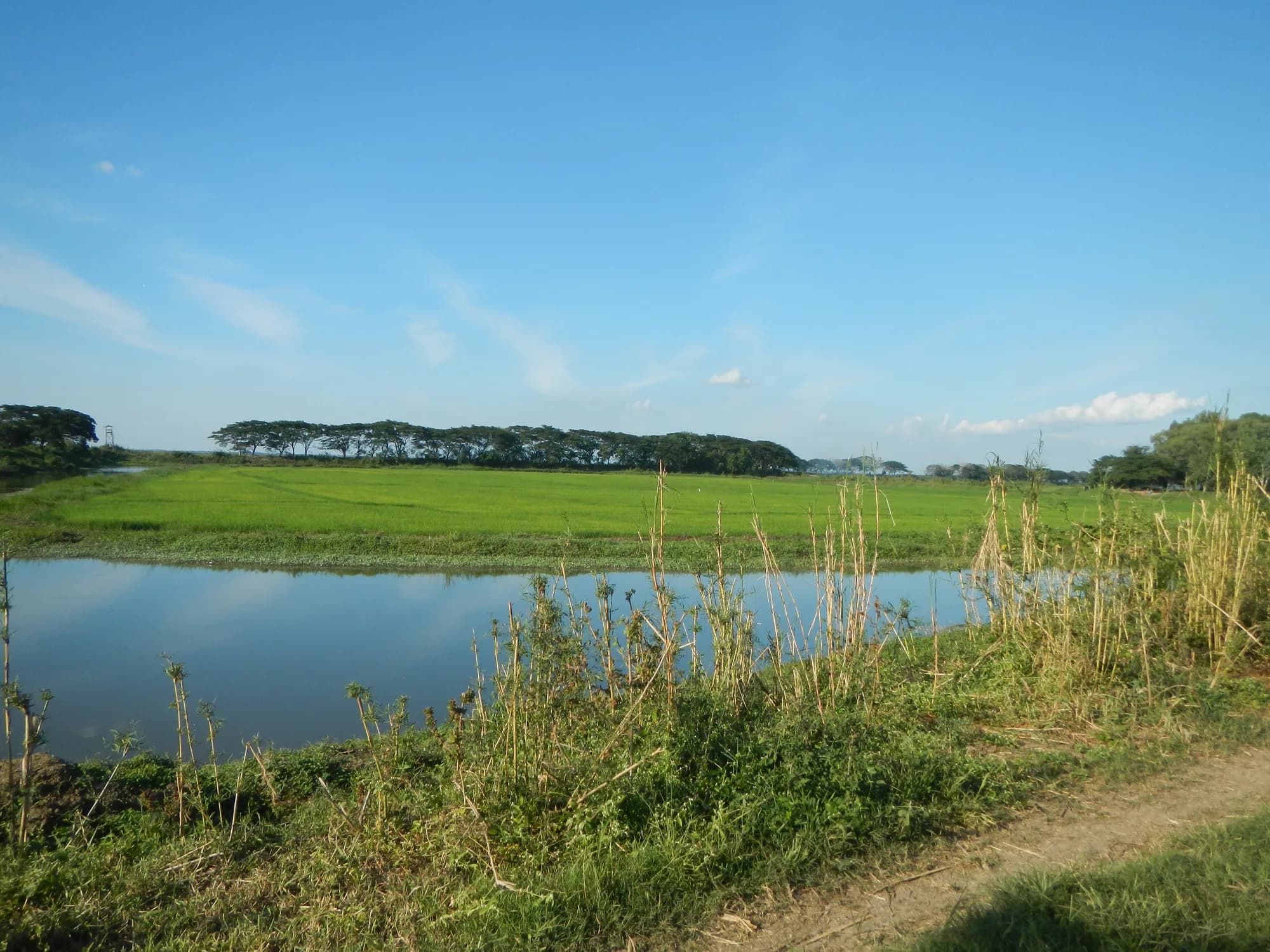 The Candaba wetlands with open water and fields