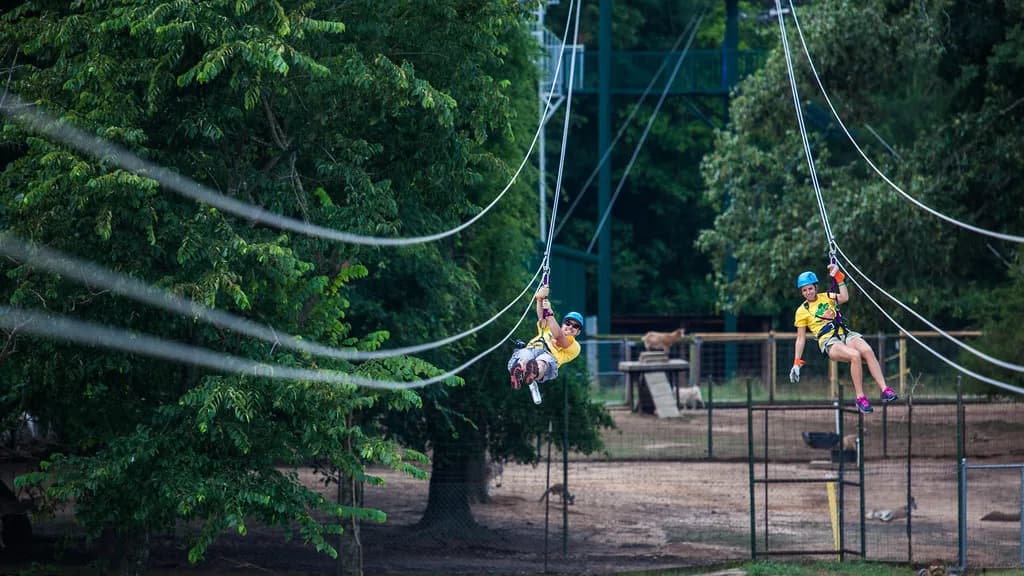 A rider on an adventure park zipline (illustrative photo)