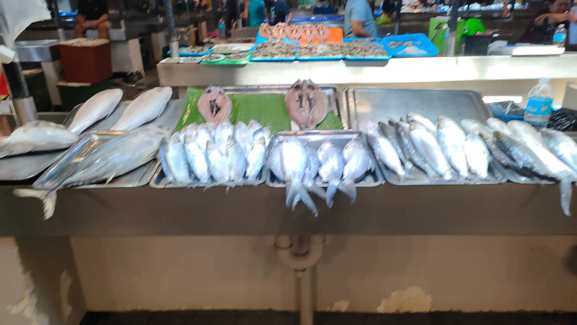 Fresh fish laid out at a Philippine market (illustrative photo)